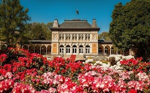 Stippvisite im Hotel König Albert, Deluxe - Zimmer für 2 Personen