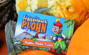 Familientageskarte für den Freizeitpark Plohn - 2 Erwachsene/ 2 Kinder