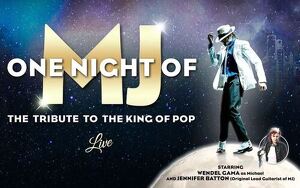 2 Tickets für One Night Of MJ am 22.03.25 in Aue