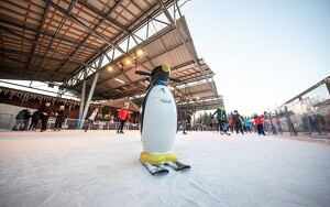 Kindergeburtstag ab 6 Jahren auf der Eisbahn Oelsnitz