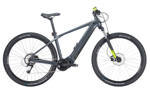 Bulls LT EVO 29