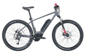 BULLS LT CX 29