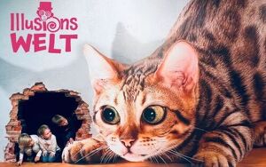 Illusionswelt Familienticket für bis zu 4 Personen