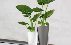 Lechuza Pflanzkübel Delta Premium anthrazit metallic