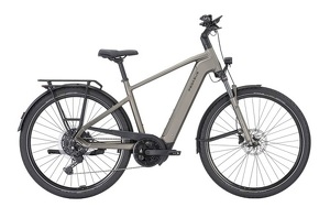 Pegasus Premio Evo 10 Lite Herren bronze