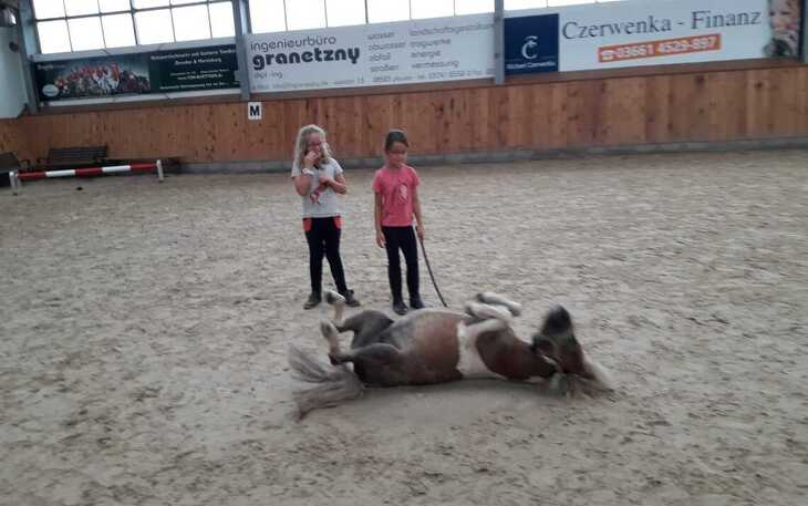Bild 6