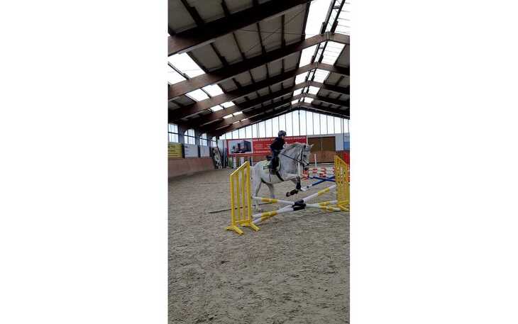 Bild 7